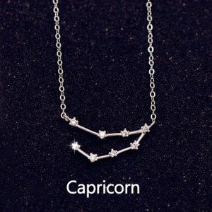 Sterling Silver Diamond Zodiac Necklace--Capricorn